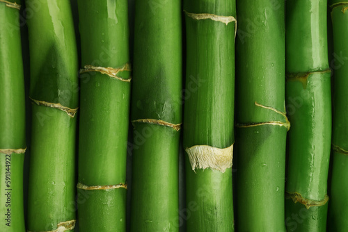 Pieces of beautiful wet green bamboo stems as background, top view