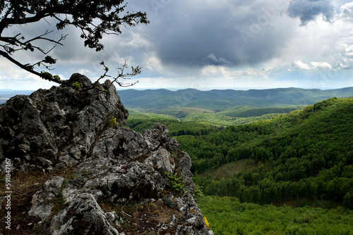 Panoramic view of green covered hills photo