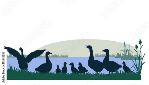 Rural landscape with geese silhouettes. Vector illustration