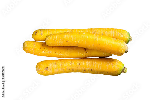Yellow organic carrots without tops.  Isolated, transparent background