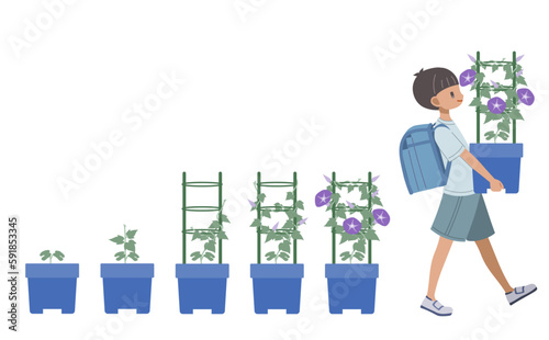 朝顔を運ぶ小学生の男の子