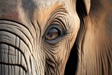 An Intimate View of an Elephant. Generative AI