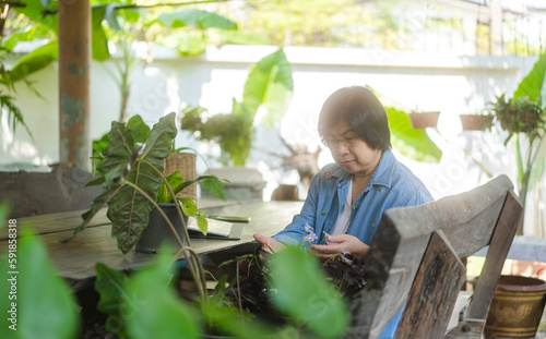 Elder asian woman relax at home garden backyard with plants