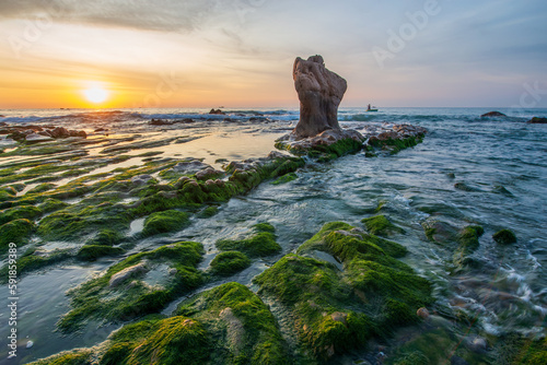 Fototapeta Naklejka Na Ścianę i Meble -  Co Thach beach sunrise in spring, Vietnam coast