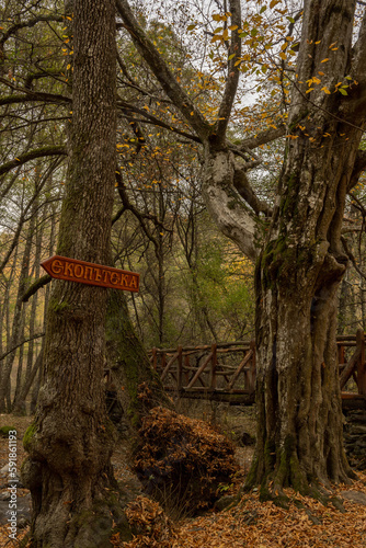 Bulgarian ecopath in the autumn photo