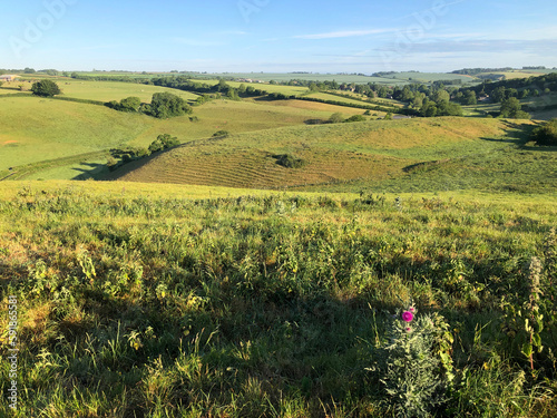 Rural summer landscape, Dorset photo