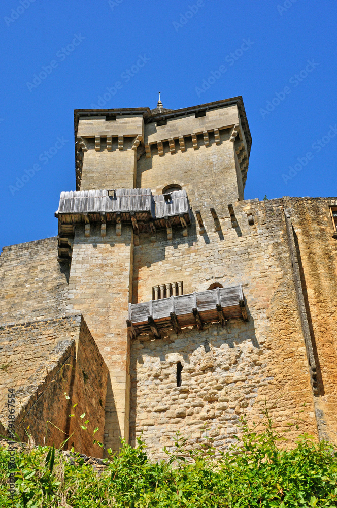 picturesque castle of Castelnaud in Dordogne