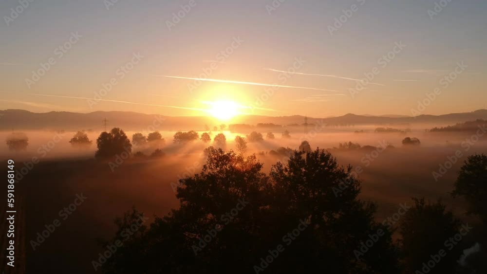 Aerial view of the fog covering trees during the sunset Aerial view of the fog covering trees during the sunset
