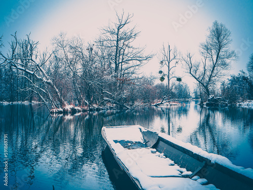 Low angle view of beautiful trees near the water in Germany in winter