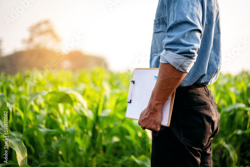 Smart farmer holding document clipboard to examining quality cro