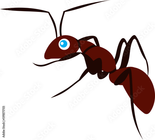 ant