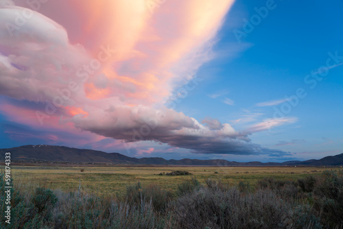 Scenic view of a green field covered with shrubs and bushes in Washoe Valley, Nevada at sunset © Axel Bostrom/Wirestock Creators