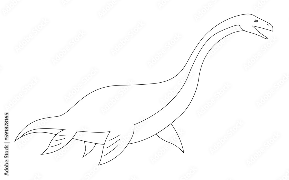 Obraz premium Prehistoric underwater dinosaur plesiosaurus with fins. Predatory sea lizard. Long neck. Scary jaws with teeth. Wildlife of the Jurassic period. Vector black and white outline illustration