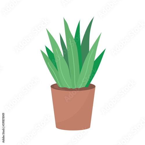 Decorative home flower. Pot with plant. Green leaves. Object of a room interior. Flat vector illustration isolated on white background