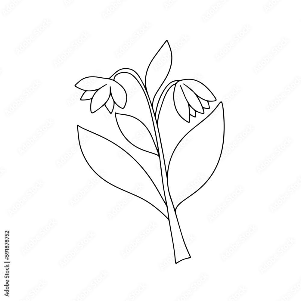 Flower Element Flower Element