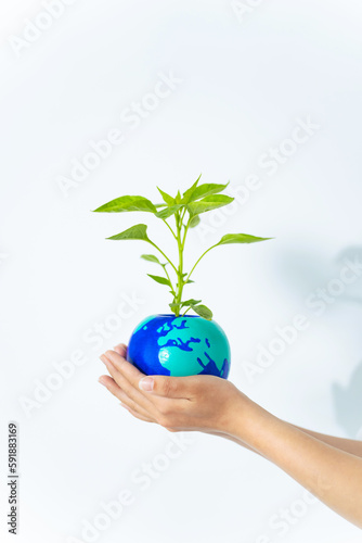 Hands holding earth drawn plant pot. Environment protection concept.