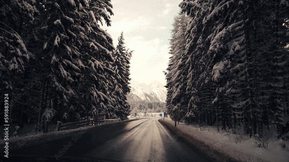 Fototapeta premium Scenic view of an asphalt road through a snowy forest in the Alps