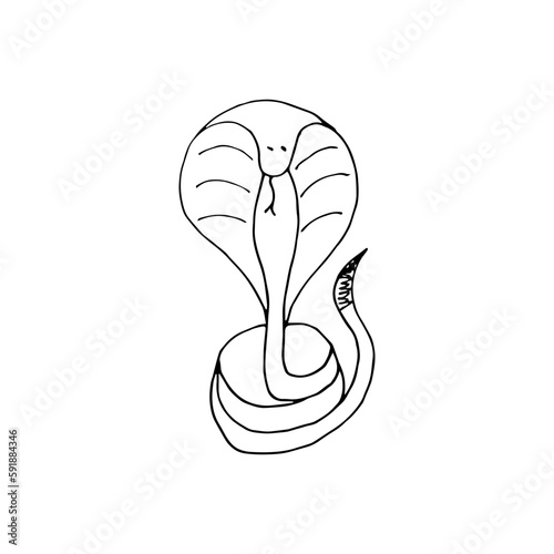 Doodle cobra isolated on white background. Simple black contour Snake. Hand Drawn Serpent. Vector illustration.