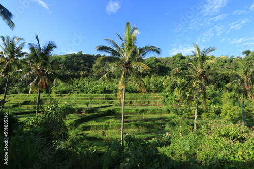 Bright blue sky with natural beauty © Gede A. Pranata