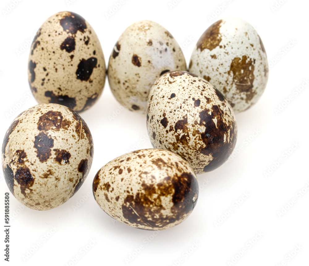 quail eggs on a white background quail eggs on a white background