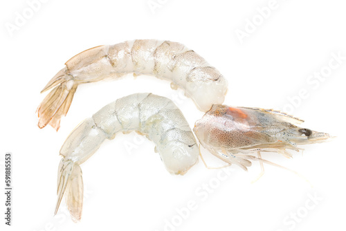 fresh shrimp on white background