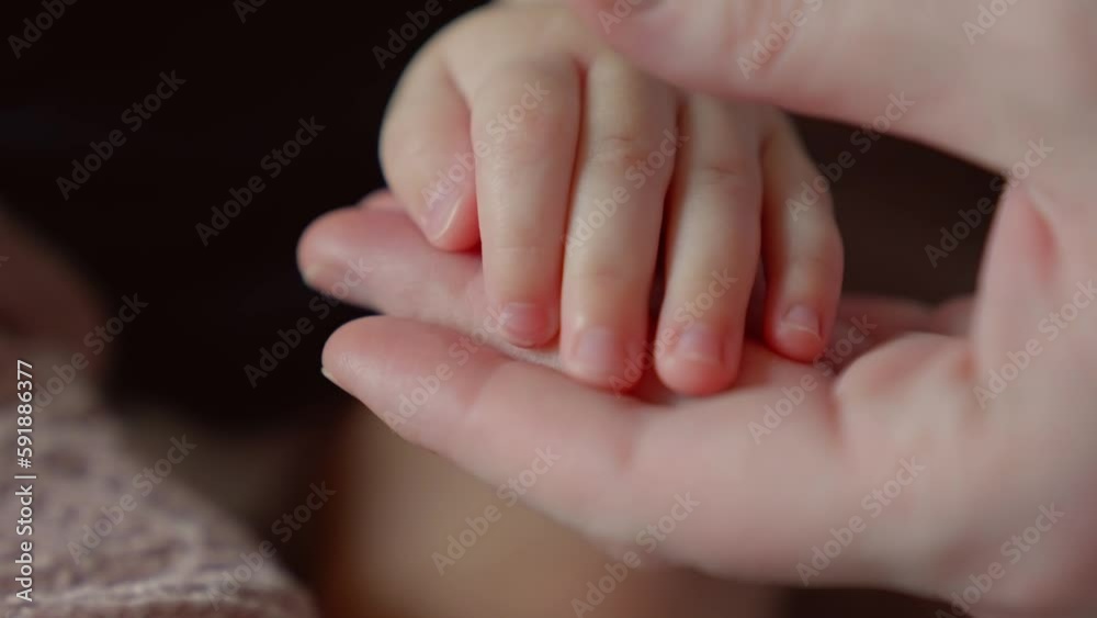 mother holds the hand of a newborn. children hand. hospital takes care of happy family medicine concept. newborn baby holding mom hand close-up. mom takes close-up care baby in the hospital mother holds the hand of a newborn. children hand. hospital takes care of happy family medicine concept. newborn baby holding mom hand close-up. mom takes close-up care baby in the hospital