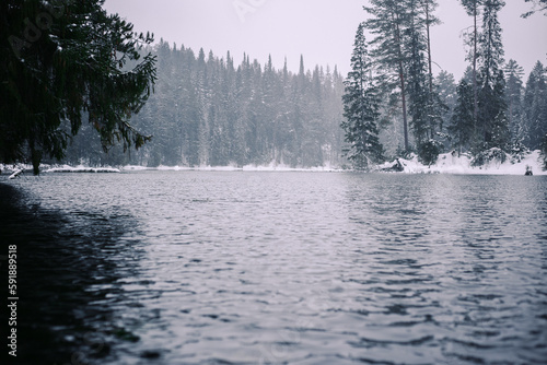 White winter landscape of a lake in the forest, water without ice, cloudy weather © svetlana kuznetsova