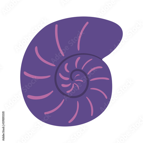 Nautilus, snail seashell hand drawn illustration. Cartoon style flat design, isolated vector. Kids summer print, seasonal element, holidays, vacations, beach, marine life, aquatic animal