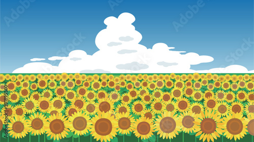入道雲が浮かぶ青空とひまわり畑の夏の風景画