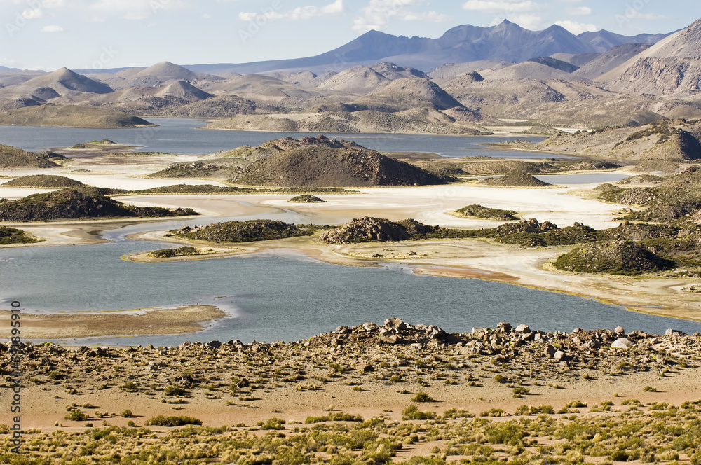 Fototapeta premium Lauca national park, UNESCO Biosphere Reserve, Arica and Parinacota Region, Chile