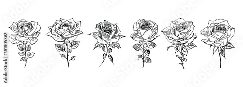 The Six Roses Coloring Book showcases six distinct roses, each with its unique design, portrayed through captivating illustrations.