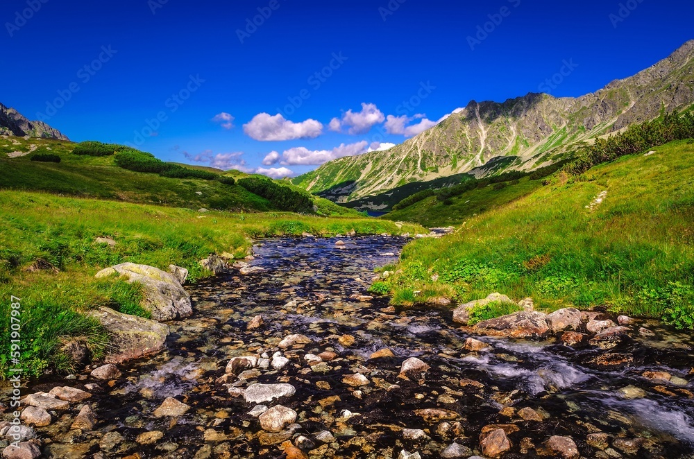 Obraz premium Beautiful summer mountain landscape with a river theme. Picturesque view stretches over stream and rocky summits in the Five Pond Valley in Tatra mountains, Poland.