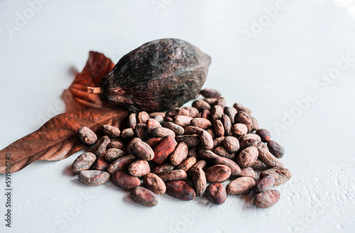 Brown cocoa beans, brown cocoa pods, and dry cacao fruit with leaves on a wooden white background.
