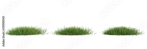 Collection green grass on transparent background 3d rendering png..
