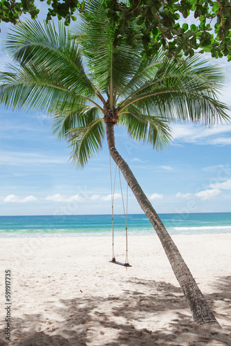 View of nice tropical beach with some palms