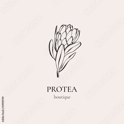 Protea logo. Modern flower illustration. Vector floral logo template. Hand-drawn botanical logo design for photographer, floral boutique, beauty industry. Aesthetic feminine logo.