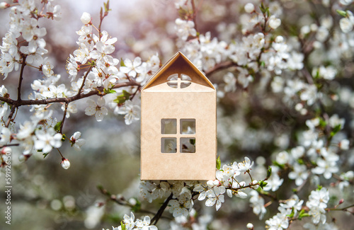symbol of the house among the white cherry blossoms 