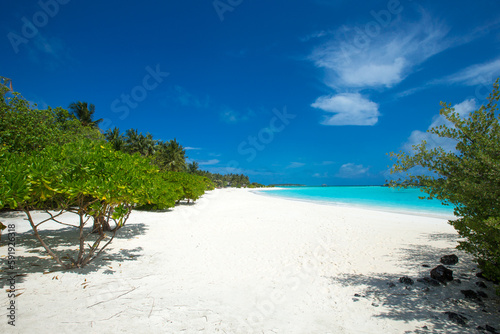 Fototapeta Naklejka Na Ścianę i Meble -  tropical Maldives island with white sandy beach and sea. palm