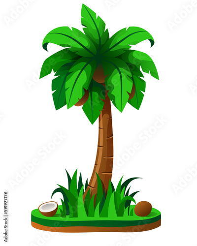 Palm tree with coconuts. Vector illustration isolated on white background.