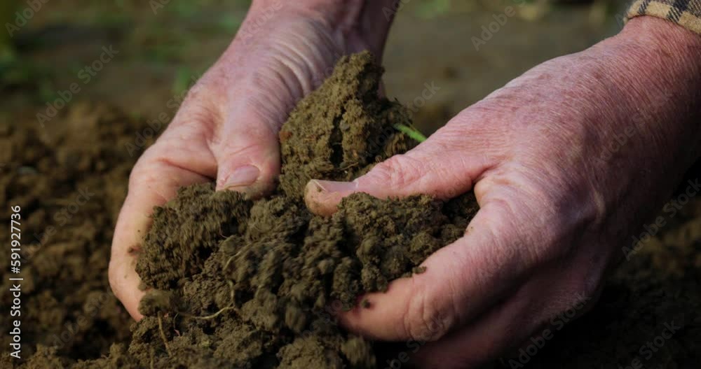 Close Up on a Mature Male Farmer's Hands Controlling Quality of the Soil Before Planting in an Ecological Farming Field. Bio Agriculture and Eco-friendly Farming Cultivation Concept Close Up on a Mature Male Farmer's Hands Controlling Quality of the Soil Before Planting in an Ecological Farming Field. Bio Agriculture and Eco-friendly Farming Cultivation Concept