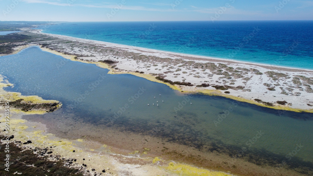 Obraz premium aerial view of the crystalline waters of the sea of ​​is arutas and mari ermi beach in sardinia 