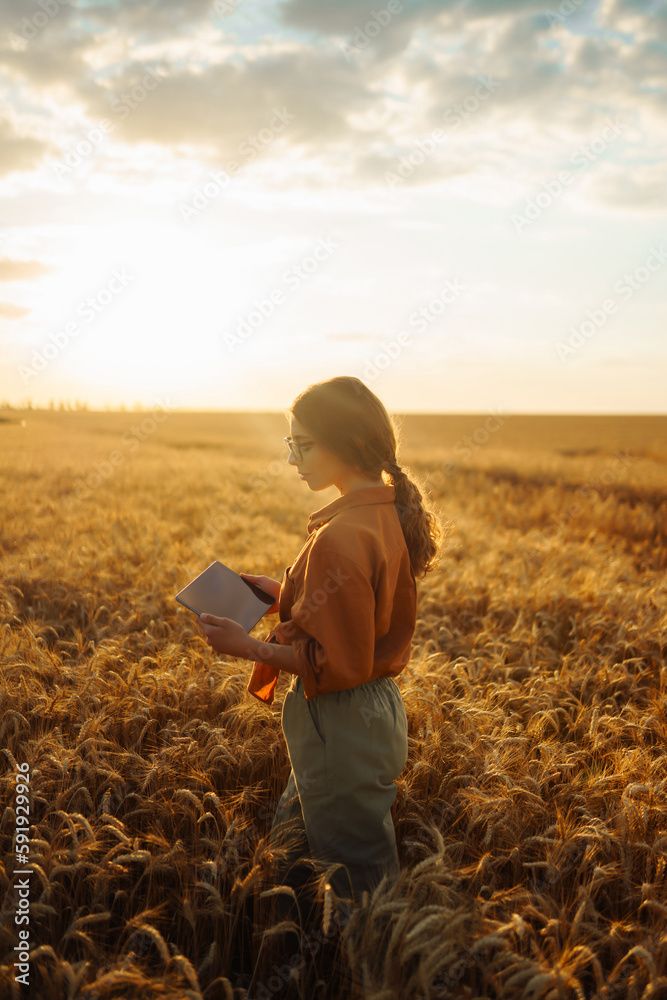 Young peasant woman in a golden wheat field with a clipboard checks the growth and quality of the crop. Growth dynamics. Agriculture or gardening concept. Young peasant woman in a golden wheat field with a clipboard checks the growth and quality of the crop. Growth dynamics. Agriculture or gardening concept.