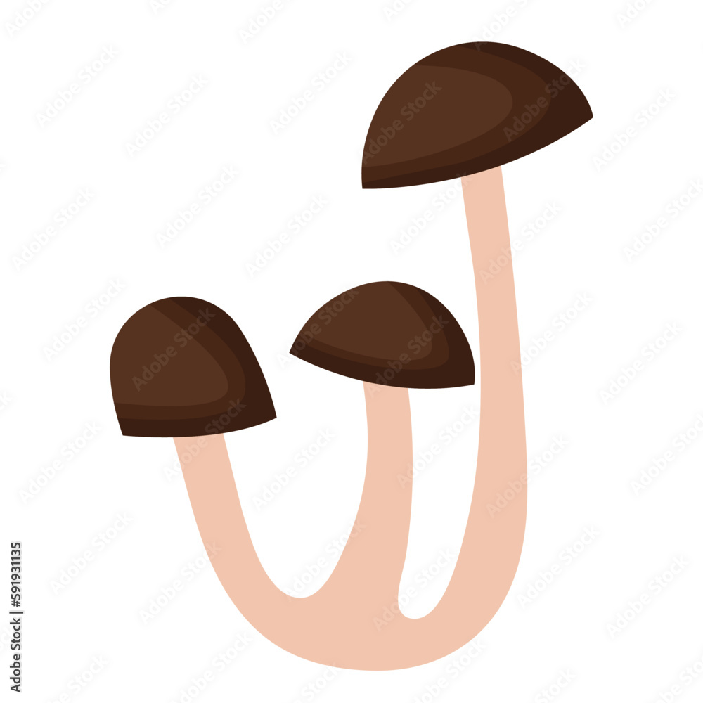 Vector illustration, white mushroom isolated on a white background. Porcini. Vegetarian mushrooms. Nature's darner for a healthy diet.