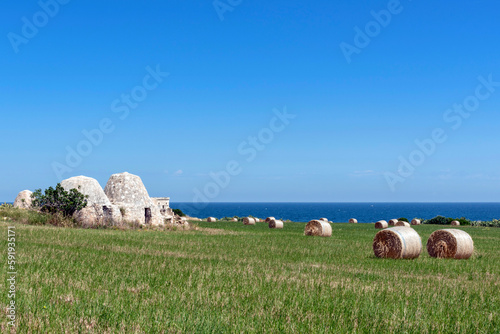 Rotoballe di fieno photo