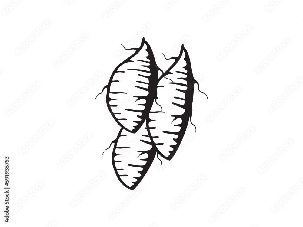 sweet potatoes icon vector isolated sweet potatoes icon vector isolated