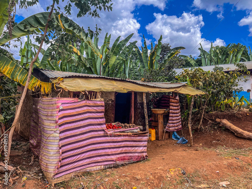 Small grocery shop made of corrugated iron sheets, bamboo, and plastic sheeting, surrounded by palm trees with a beautiful blue and cloudy sky on a dirt road in the Sidama region, Ethiopia, Africa photo