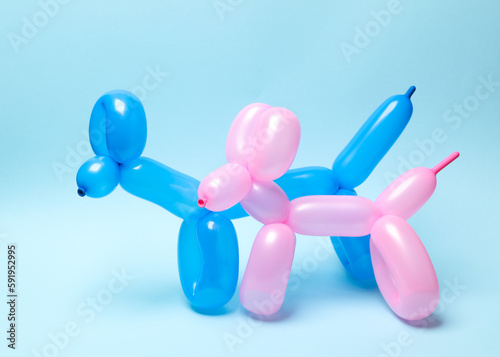 Two balloon dogs on a blue background