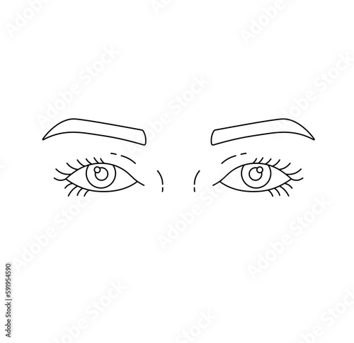 Vector isolated two woman eyes with brows colorless black and white contour line easy drawing