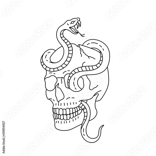 Vector isolated one single human skull with snake upside colorless black and white contour line easy drawing