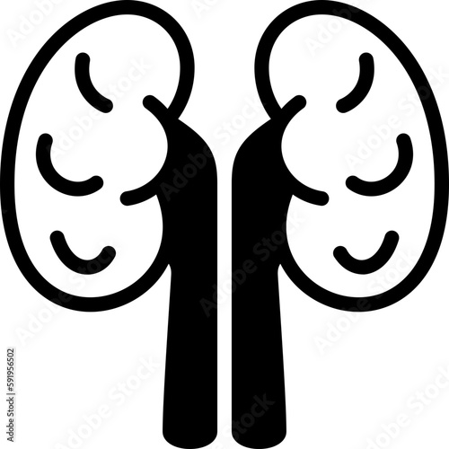 kidney  icon